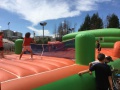 IMG_8669 IMG_8669